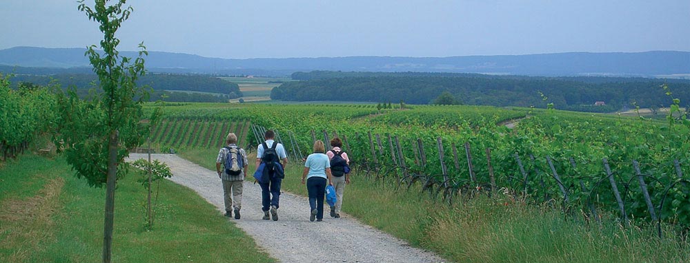 Ayurveda für Würzburg in Sommerhausen